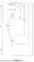 Fig. 13 - ORTHOPEDIC DEVICE