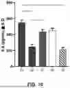 Fig. 07 - COMPOSITIONS COMPRISING PROANTHOCYANIDINS AND ZINC FOR TREATING AND/OR PREVENTING INFLAMMATION