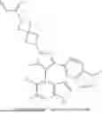 Fig. 09 - PHARMACEUTICAL COMBINATIONS COMPRISING A KRAS G12C INHIBITOR AND USES THEREOF FOR THE TREATMENT OF CANCERS