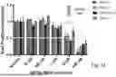 Fig. 04 - COMPOSITIONS AND METHODS FOR THE TREATMENT AND PREVENTION OF VASCULAR MALFORMATIONS