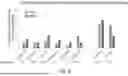 Fig. 17 - COMPOSITIONS AND METHODS FOR THE TREATMENT AND PREVENTION OF VASCULAR MALFORMATIONS