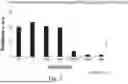 Fig. 18 - COMPOSITIONS AND METHODS FOR THE TREATMENT AND PREVENTION OF VASCULAR MALFORMATIONS