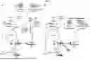 Fig. 02 - NAD-AUGMENTATION THERAPY FOR PARKINSON'S DISEASE