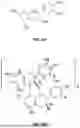 Fig. 05 - COMPOSITIONS COMPRISING METAL-COMPLEXED PLANT COMPOUNDS AND USES THEREOF