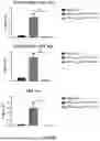 Fig. 06 - VACCINE COMPOSITION FOR PREVENTION AGAINST COVID-19