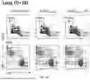 Fig. 11 - VACCINE COMPOSITION FOR PREVENTION AGAINST COVID-19