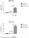 Fig. 15 - VACCINE COMPOSITION FOR PREVENTION AGAINST COVID-19