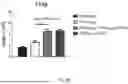 Fig. 21 - VACCINE COMPOSITION FOR PREVENTION AGAINST COVID-19