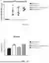 Fig. 27 - VACCINE COMPOSITION FOR PREVENTION AGAINST COVID-19