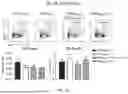 Fig. 29 - VACCINE COMPOSITION FOR PREVENTION AGAINST COVID-19