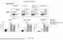 Fig. 30 - VACCINE COMPOSITION FOR PREVENTION AGAINST COVID-19