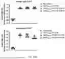 Fig. 35 - VACCINE COMPOSITION FOR PREVENTION AGAINST COVID-19