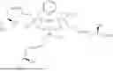Fig. 23 - GADOLINIUM BEARING PCTA-BASED CONTRAST AGENTS