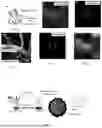 Fig. 02 - BIOCOMPATIBLE IMAGING PARTICLES, THEIR SYNTHESIS AND USE IN IMAGING TECHNIQUES
