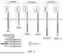 Fig. 02 - Chimeric Antigen Receptor-Modified NK-92 Cells