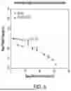 Fig. 08 - Chimeric Antigen Receptor-Modified NK-92 Cells