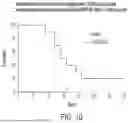 Fig. 12 - Chimeric Antigen Receptor-Modified NK-92 Cells