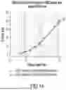 Fig. 16 - Chimeric Antigen Receptor-Modified NK-92 Cells