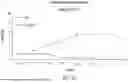 Fig. 33 - Chimeric Antigen Receptor-Modified NK-92 Cells