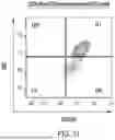 Fig. 34 - Chimeric Antigen Receptor-Modified NK-92 Cells