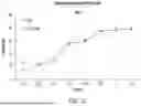 Fig. 35 - Chimeric Antigen Receptor-Modified NK-92 Cells