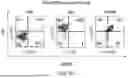 Fig. 53 - Chimeric Antigen Receptor-Modified NK-92 Cells