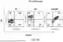 Fig. 57 - Chimeric Antigen Receptor-Modified NK-92 Cells