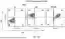 Fig. 60 - Chimeric Antigen Receptor-Modified NK-92 Cells