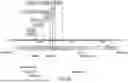 Fig. 68 - Chimeric Antigen Receptor-Modified NK-92 Cells