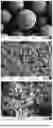 Fig. 07 - PARTICULATE HYDROXYAPATITE (HA) SUBSTRATES AND USES THEREOF