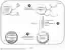 Fig. 02 - POLYMER-TEMPLATED HYDROXYAPATITE AND USES THEREOF FOR PURIFICATION OF TARGET MOLECULES