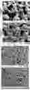 Fig. 01 - MULTIMODAL CHROMATOGRAPHY RESINS WITH ANIONIC AND CATIONIC LIGANDS