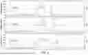 Fig. 08 - MULTIMODAL CHROMATOGRAPHY RESINS WITH ANIONIC AND CATIONIC LIGANDS