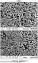 Fig. 13 - MULTIMODAL CHROMATOGRAPHY RESINS WITH ANIONIC AND CATIONIC LIGANDS