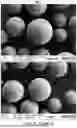 Fig. 14 - MULTIMODAL CHROMATOGRAPHY RESINS WITH ANIONIC AND CATIONIC LIGANDS