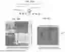 Fig. 49 - Devices and methods for analyzing biological samples