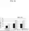 Fig. 15 - DRILL