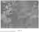 Fig. 06 - GADOLINIA PARTICLES AND METHOD FOR PRODUCING GADOLINIA PARTICLES