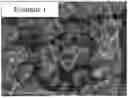 Fig. 01 - MULTI-ELEMENT CO-DOPED SODIUM-ION POSITIVE ELECTRODE MATERIAL, AND PREPARATION METHOD THEREFOR AND USE THEREOF