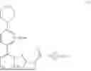 Fig. 12 - CYCLOPROPANECARBOXAMIDE-CONTAINING COMPOUNDS AND APPLICATION THEREOF
