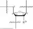Fig. 167 - COMPOSITIONS AND METHODS FOR PHOSPHORAMIDITE AND OLIGONUCLEOTIDE SYNTHESIS