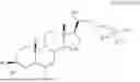 Fig. 1069 - POSITIVE NMDA-MODULATING COMPOUNDS AND METHODS OF USE THEREOF