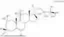 Fig. 1663 - POSITIVE NMDA-MODULATING COMPOUNDS AND METHODS OF USE THEREOF