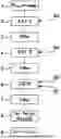 Fig. 01 - A METHOD OF CLOSED LOOP RECYCLING OF POLYLACTIC ACID