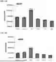 Fig. 06 - SUSPENSION SYSTEM FOR ADENO ASSOCIATED VIRUS PRODUCTION