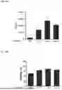 Fig. 10 - SUSPENSION SYSTEM FOR ADENO ASSOCIATED VIRUS PRODUCTION