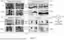 Fig. 02 - Characterization of Reservoir Features and Fractures Using Artificial Intelligence