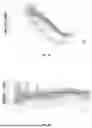 Fig. 06 - Single stage to orbit rocket engine