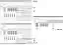Fig. 09 - Method And System For Improved Spreadsheet Charts