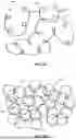 Fig. 06 - NONUNIFORM EMBROIDERED SOFT TISSUE IMPLANT STRUCTURE